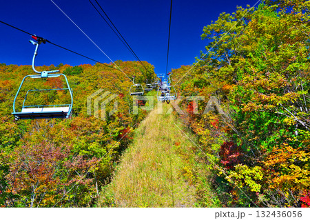 紅葉の白馬岩岳マウンテンリゾート 132436056