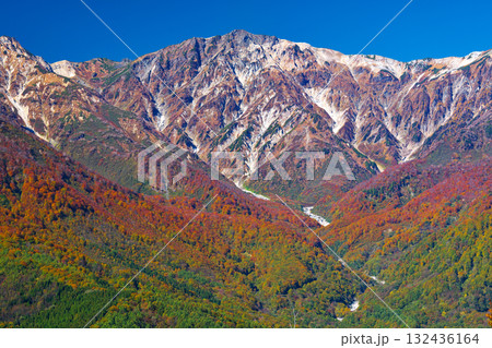 紅葉の白馬岩岳マウンテンリゾート 132436164