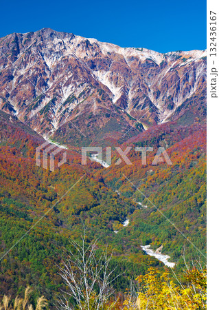 紅葉の白馬岩岳マウンテンリゾート 132436167