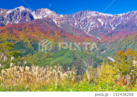 紅葉の白馬岩岳マウンテンリゾート 132436208