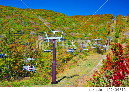 紅葉の白馬岩岳マウンテンリゾート 132436213