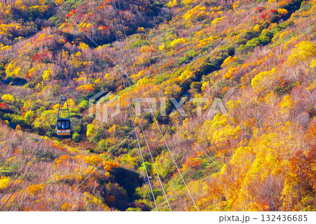 黒部平から室堂方向をのぞむ 132436685