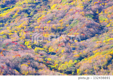 黒部平から室堂方向をのぞむ 黒部平から室堂方向をのぞむ 132436691