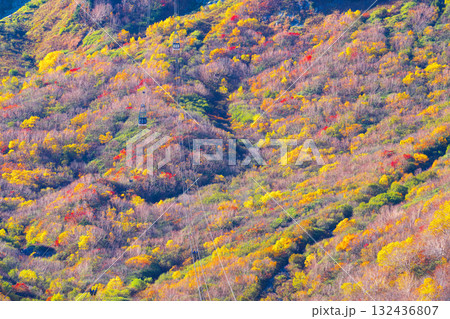 黒部平から室堂方向をのぞむ 132436807