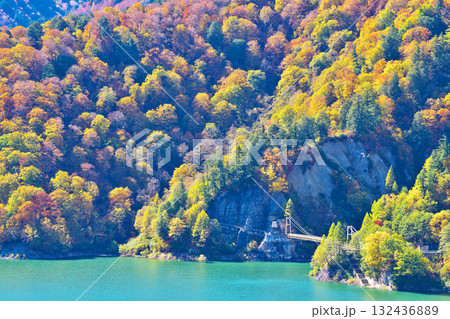 黒部ダムの紅葉 132436889