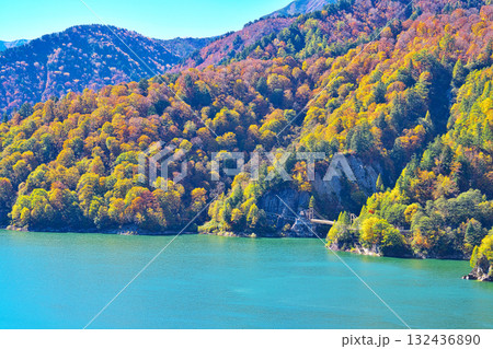 黒部ダムの紅葉 132436890