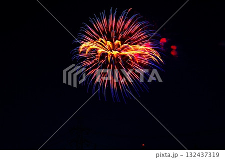 第48回綾瀬市花火大会 132437319
