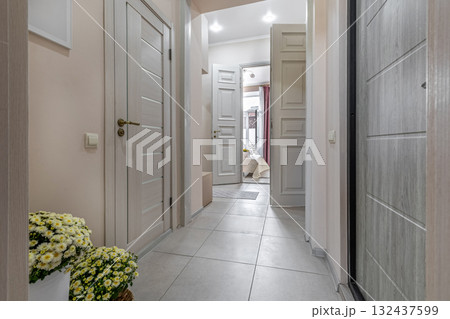 Modern Hallway with Open Doors and Flower Decor Modern Hallway with Open Doors and Flower Decor 132437599