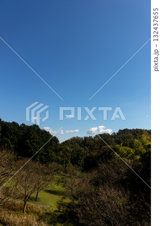 よく晴れた秋の日の風景 132437655