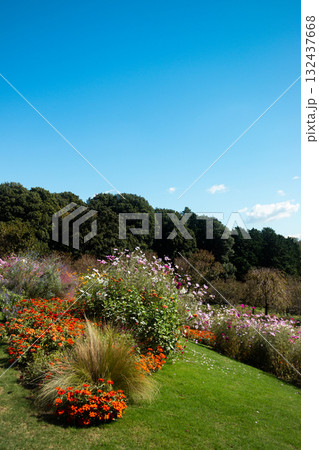 よく晴れた秋の日の風景 132437668