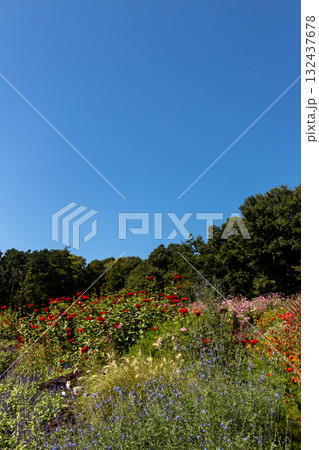 よく晴れた秋の日の風景 132437678