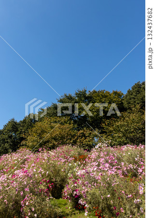 よく晴れた秋の日の風景 よく晴れた秋の日の風景 132437682