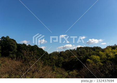 よく晴れた秋の日の風景 よく晴れた秋の日の風景 132437694