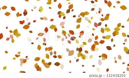 秋の落ち葉透過 132438201