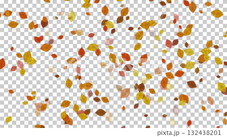 秋の落ち葉透過 132438201