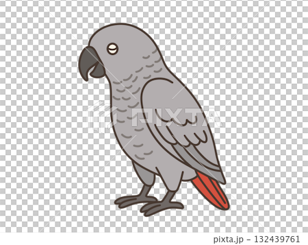 シンプルなヨウムのイラスト 132439761