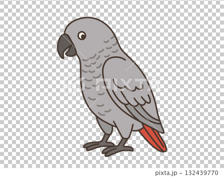 シンプルなヨウムのイラスト シンプルなヨウムのイラスト 132439770