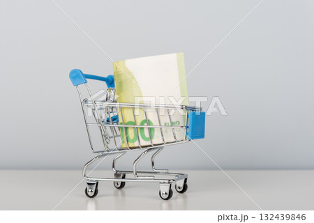 A miniature grocery cart with money 132439846