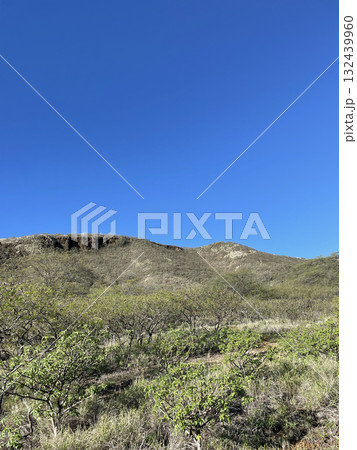 山の静寂に包まれて 132439960