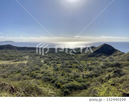 光の降りそそぐ丘 132440109