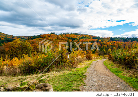 Autumn countryside near Luhacovice, Czech Republic, with colorful forests, meadows, and gentle hills in shades of red, orange, and yellow at the beginning of fall. 132440331