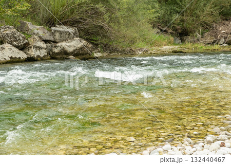 Beautiful Natural Background with Forest River in Summer 132440467