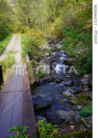 秋の南暑寒別岳登山道~ペンケペタン川のせせらぎ 秋の南暑寒別岳登山道~ペンケペタン川のせせらぎ 132440606