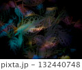 カラフルな光に照らされる葉が綺麗なカメラ内多重露光撮影 カラフルな光に照らされる葉が綺麗なカメラ内多重露光撮影 132440748