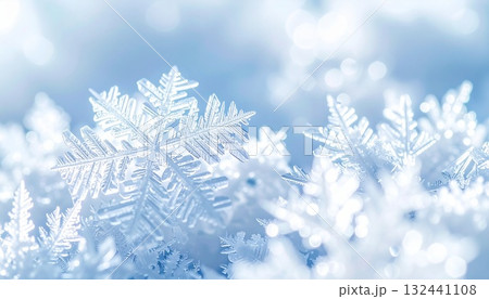幻想的な雪の結晶 132441108