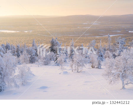 Nature in the north. Lapland, Finland. Winter wonderland. Trees covered with snow. Nature in the north. Lapland, Finland. Winter wonderland. Trees covered with snow. 132441212