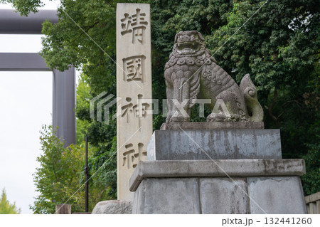 靖国神社・大鳥居とイチョウ並木(銀杏) 靖国神社・大鳥居とイチョウ並木(銀杏) 132441260
