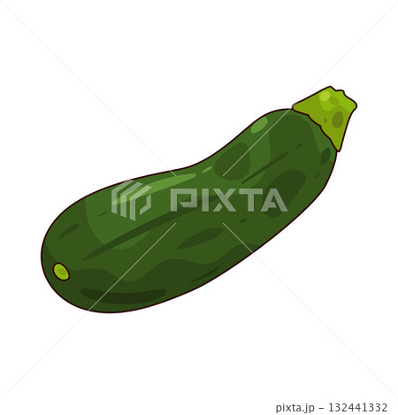 illustration of Zucchini 132441332