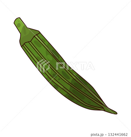 illustration of Okra 132441662