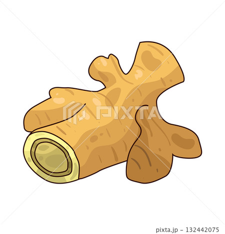 illustration of Ginger illustration of Ginger 132442075