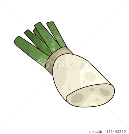 illustration of Daikon 132442229