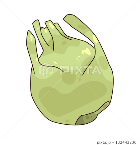 illustration of Kohlrabi illustration of Kohlrabi 132442230