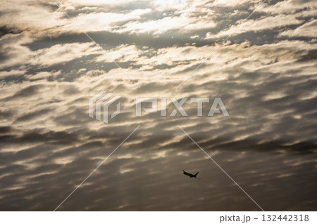 羽田空港の風景 離陸中の飛行機 東京都大田区 羽田空港の風景 離陸中の飛行機 東京都大田区 132442318