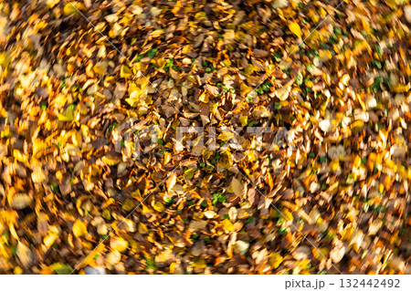 Colorful autumn leaves creating a vibrant textured ground cover 132442492