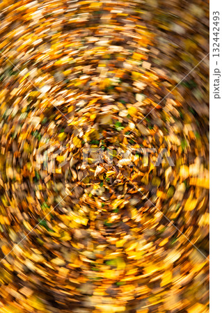 Swirling autumn leaves creating vibrant circular motion effect Swirling autumn leaves creating vibrant circular motion effect 132442493
