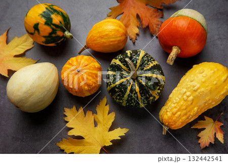 Autumn gourds and leaves creating a seasonal still life Autumn gourds and leaves creating a seasonal still life 132442541