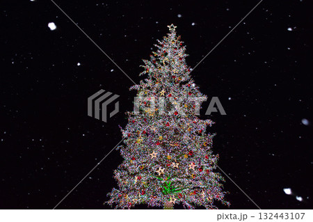 クリスマスツリー 132443107