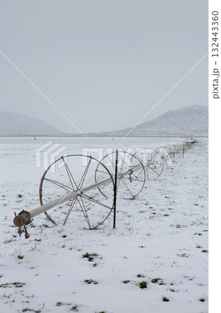 Cereal fields with irrigation wheels with snow in Nevada Cereal fields with irrigation wheels with snow in Nevada 132443360