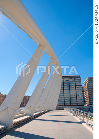 Valencia puente de Exposicion bridge in Alameda 132443415