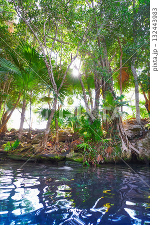 Cenote sinkhole in Riviera Maya of Mexico 132443983