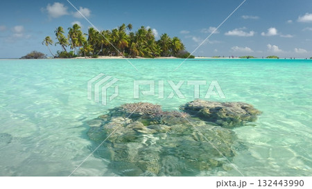 French Polynesia, Rangiroa island: Crystal clear turquoise water gently washing over vibrant coral reef. With a picturesque islet of palm trees in the background. Wild nature travel landscape. Static 132443990