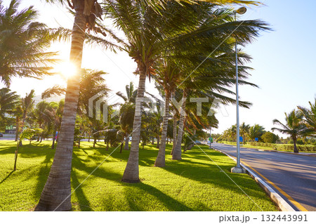 Cancun Mexico Kukulcan blvd Mexico Cancun Mexico Kukulcan blvd Mexico 132443991