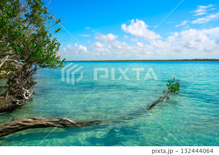Laguna de Bacalar Lagoon in Mexico 132444064