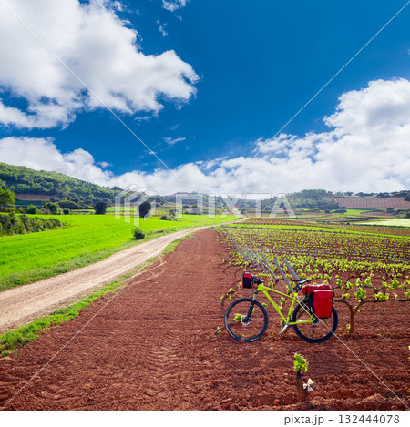 La Rioja vineyard fields in The Way of Saint James 132444078