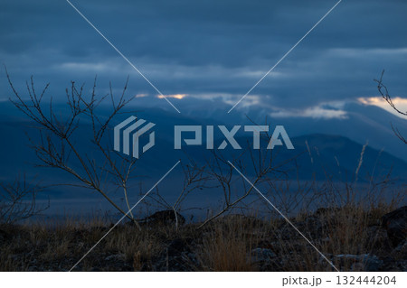 Desolate blue landscape with leafless shrubs and distant mountains at dusk 132444204