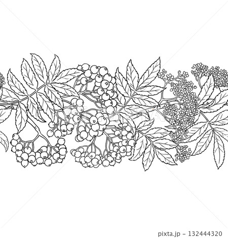 Rowan Outline Horizontal Seamless Pattern. Rowan Outline Horizontal Seamless Pattern. 132444320